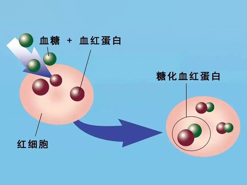 丹纳胰岛素泵